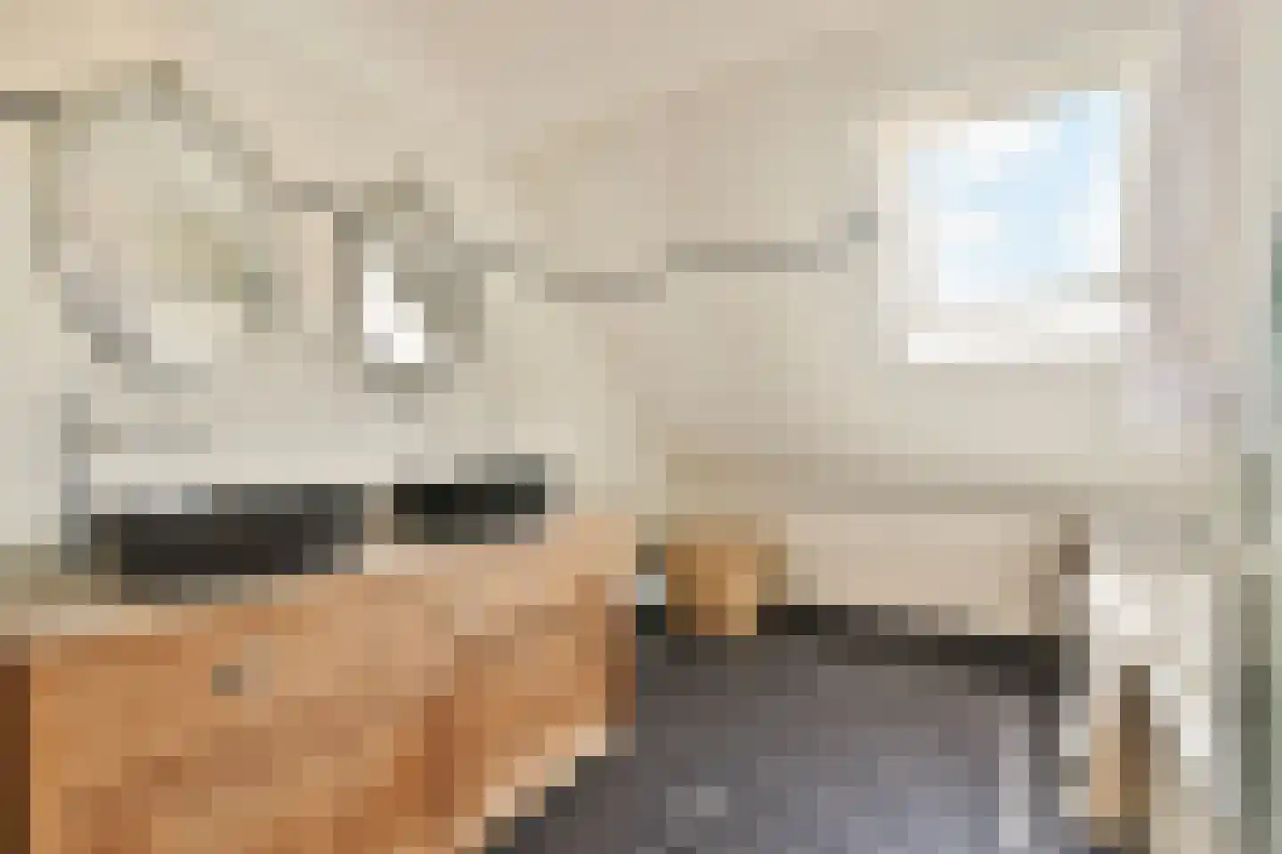 Willem de Zwijgerlaan 4 Oegstgeest thumbnail 19