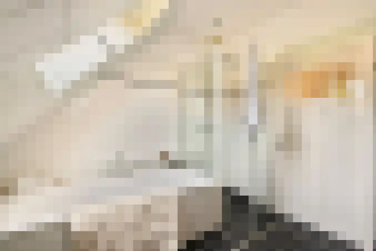 Willem de Zwijgerlaan 4 Oegstgeest thumbnail 20