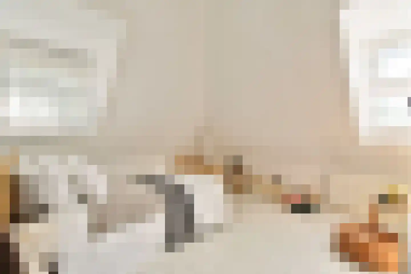 Willem de Zwijgerlaan 4 Oegstgeest thumbnail 21
