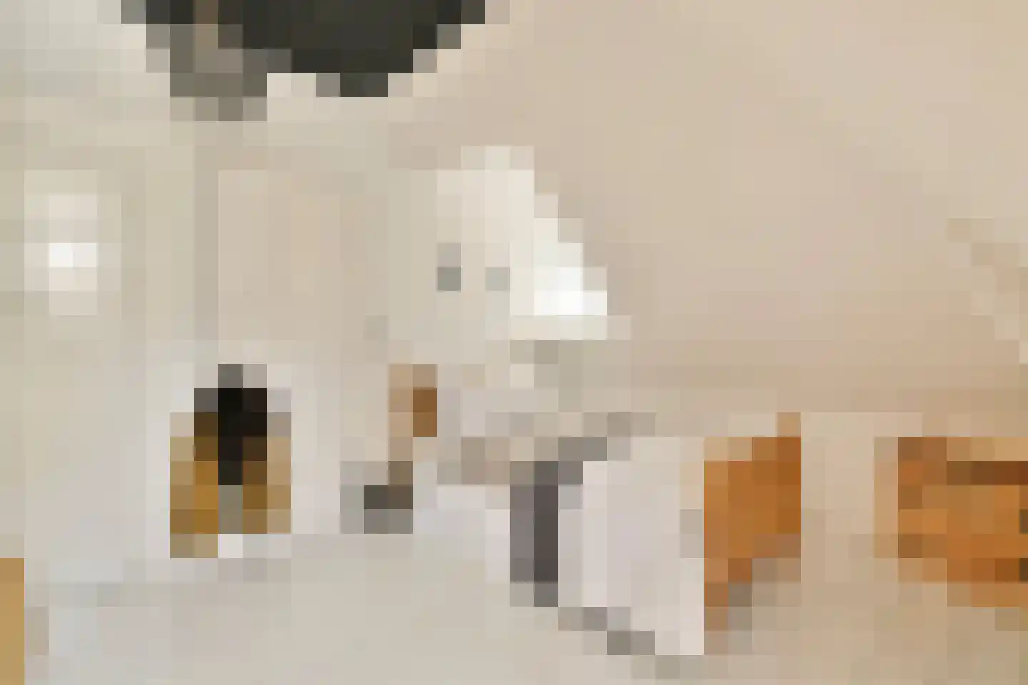 Willem de Zwijgerlaan 4 Oegstgeest thumbnail 22