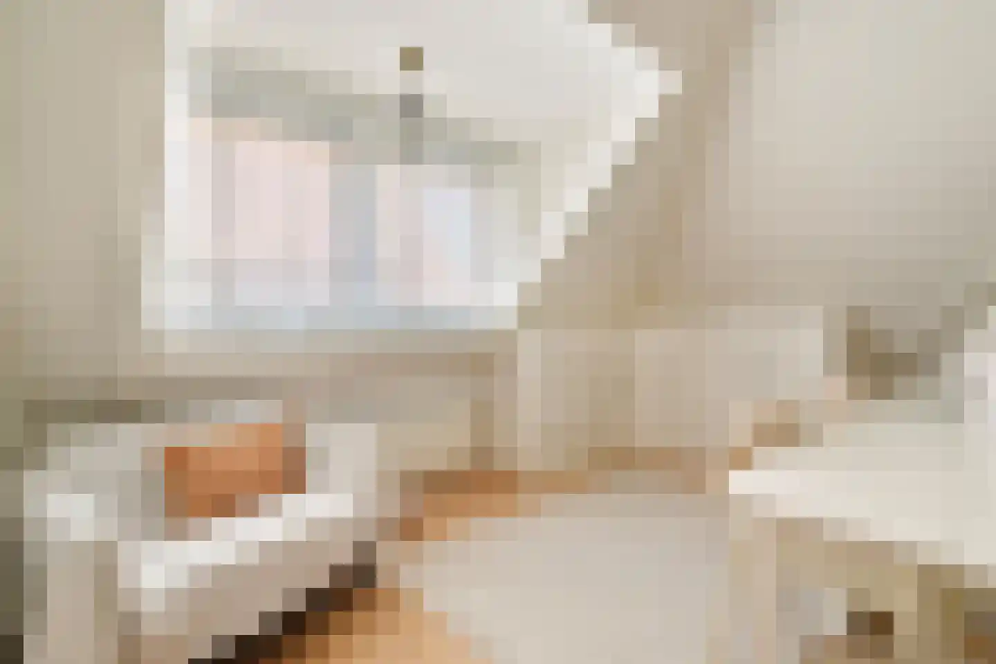 Willem de Zwijgerlaan 4 Oegstgeest thumbnail 24