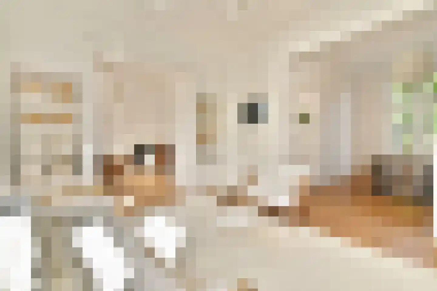 Willem de Zwijgerlaan 4 Oegstgeest foto 3