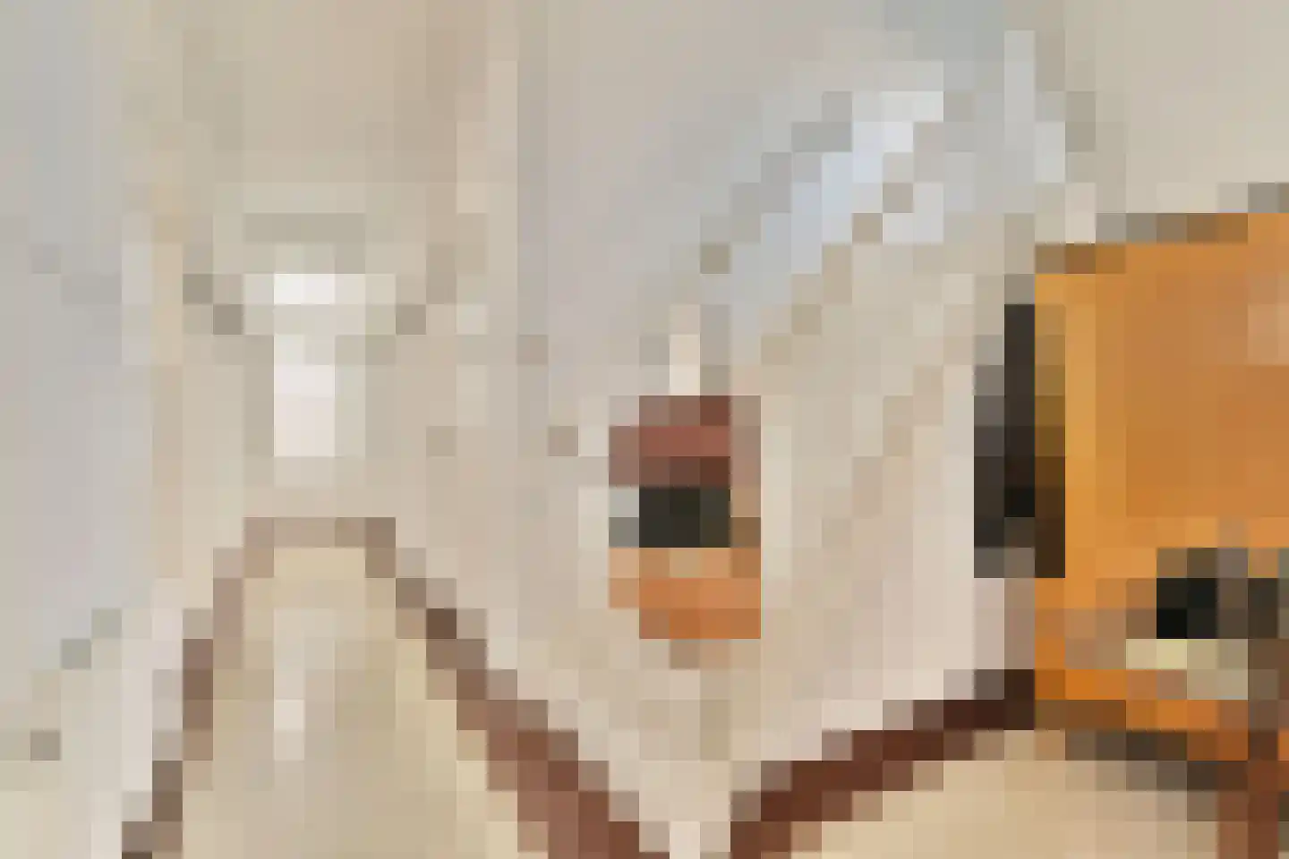 Willem de Zwijgerlaan 4 Oegstgeest thumbnail 7