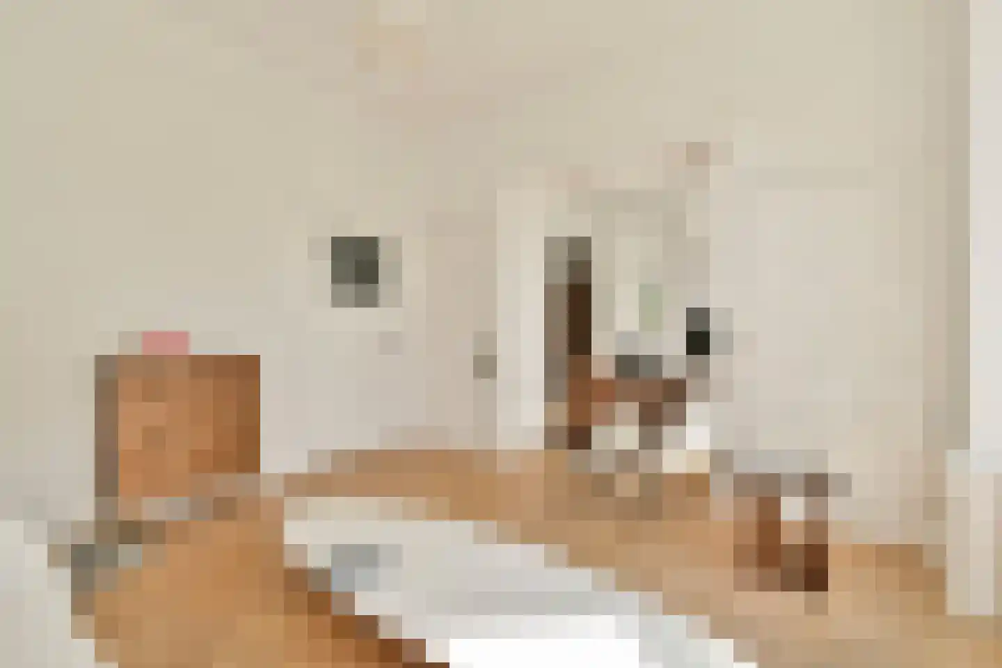 Willem de Zwijgerlaan 4 Oegstgeest thumbnail 8