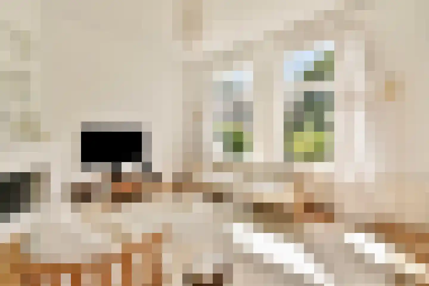 Willem de Zwijgerlaan 4 Oegstgeest thumbnail 9
