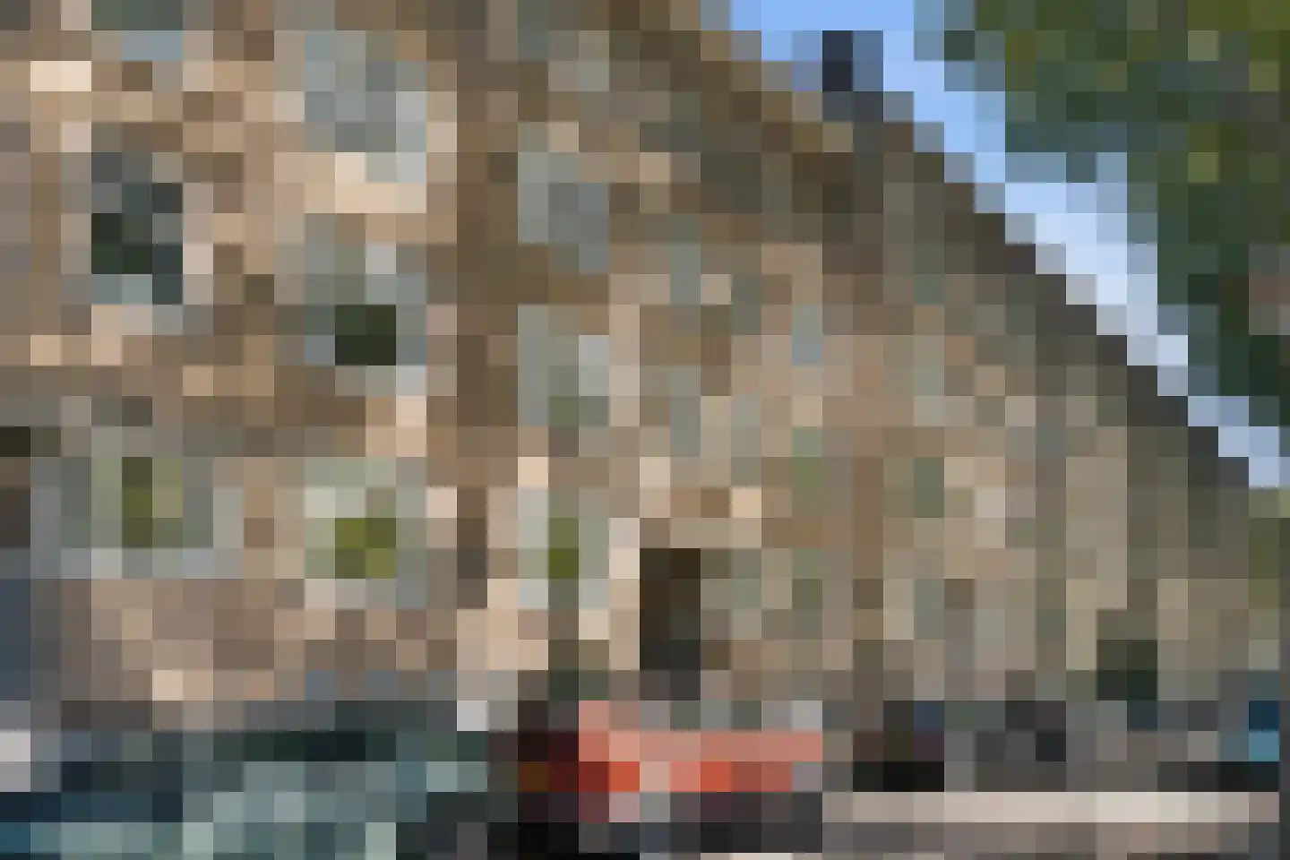 Willem de Zwijgerlaan 40 1 Amsterdam thumbnail 31