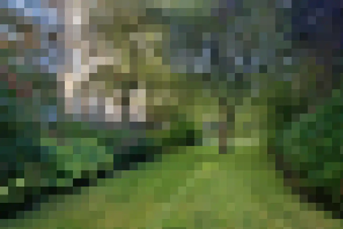 Willem de Zwijgerlaan 40 1 Amsterdam thumbnail 33