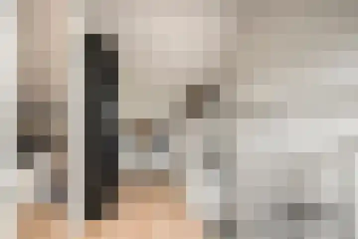 Willem de Zwijgerlaan 42 Axel thumbnail 16