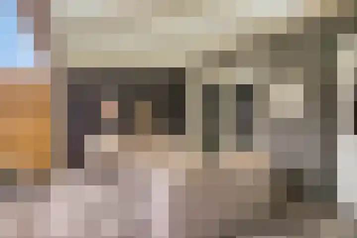 Willem de Zwijgerlaan 42 Axel thumbnail 19