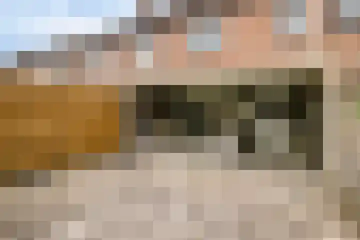 Willem de Zwijgerlaan 42 Axel thumbnail 20