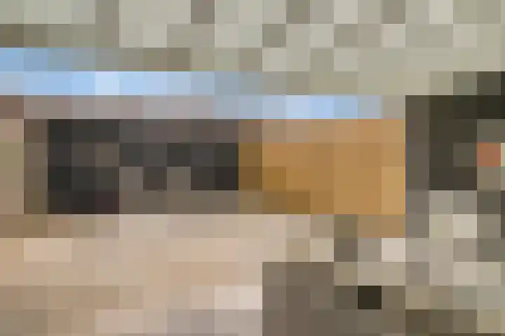Willem de Zwijgerlaan 42 Axel thumbnail 21
