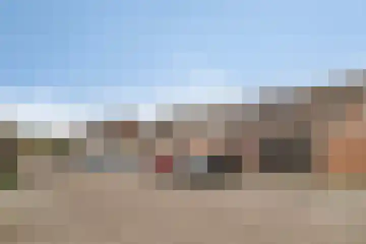 Willem de Zwijgerlaan 42 Axel thumbnail 23