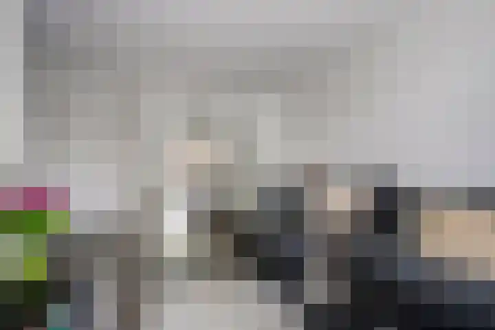 Willem de Zwijgerlaan 42 Axel thumbnail 4
