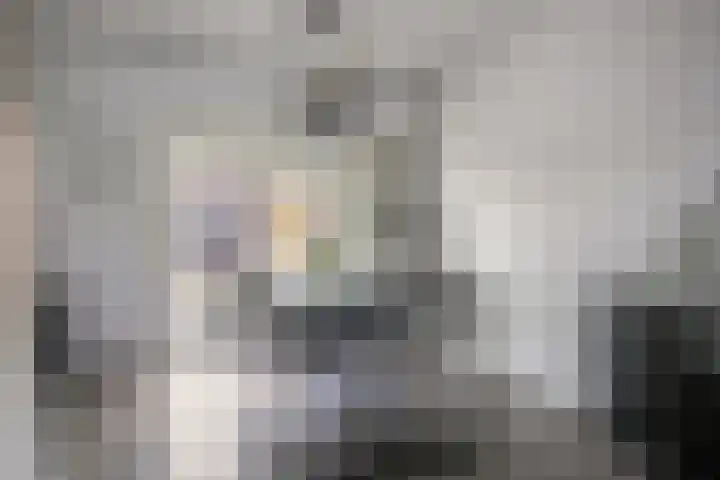 Willem de Zwijgerlaan 42 Axel thumbnail 5