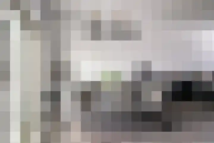 Willem de Zwijgerlaan 42 Axel thumbnail 6