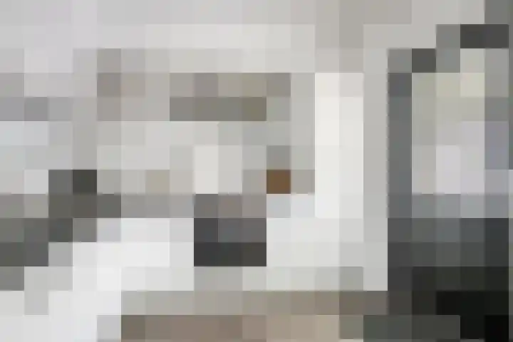 Willem de Zwijgerlaan 42 Axel thumbnail 7