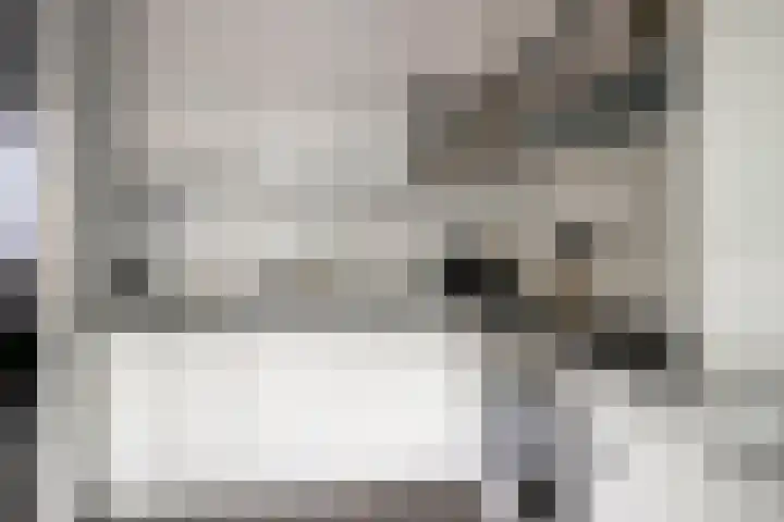 Willem de Zwijgerlaan 42 Axel thumbnail 8
