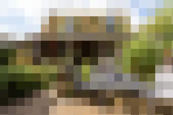 Willem de Zwijgerlaan 46 Castricum thumbnail 14
