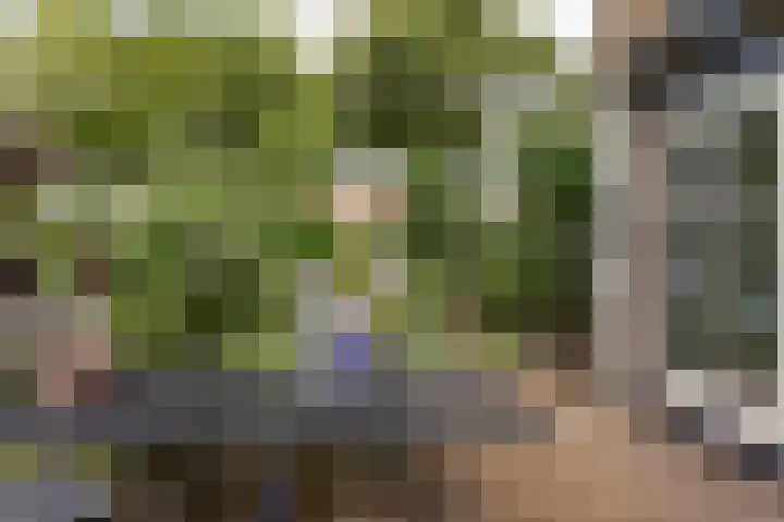 Willem de Zwijgerlaan 46 Castricum thumbnail 15