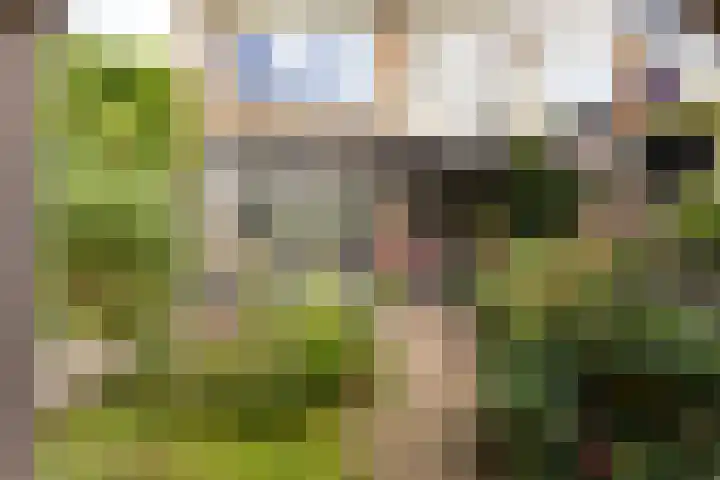Willem de Zwijgerlaan 46 Castricum thumbnail 16