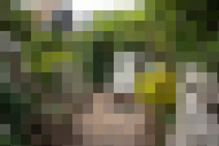 Willem de Zwijgerlaan 46 Castricum thumbnail 21