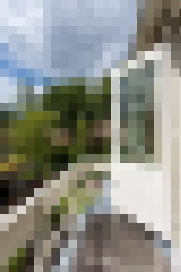 Willem de Zwijgerlaan 46 Castricum thumbnail 31