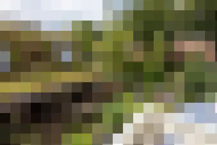 Willem de Zwijgerlaan 46 Castricum thumbnail 32