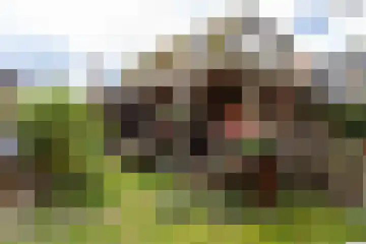 Willem de Zwijgerlaan 46 Castricum thumbnail 43