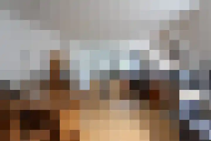 Willem de Zwijgerlaan 46 Castricum thumbnail 47