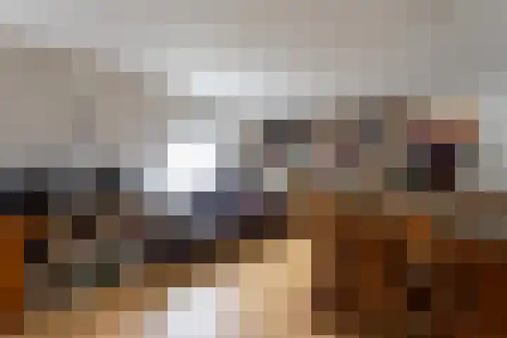Willem de Zwijgerlaan 46 Castricum thumbnail 48