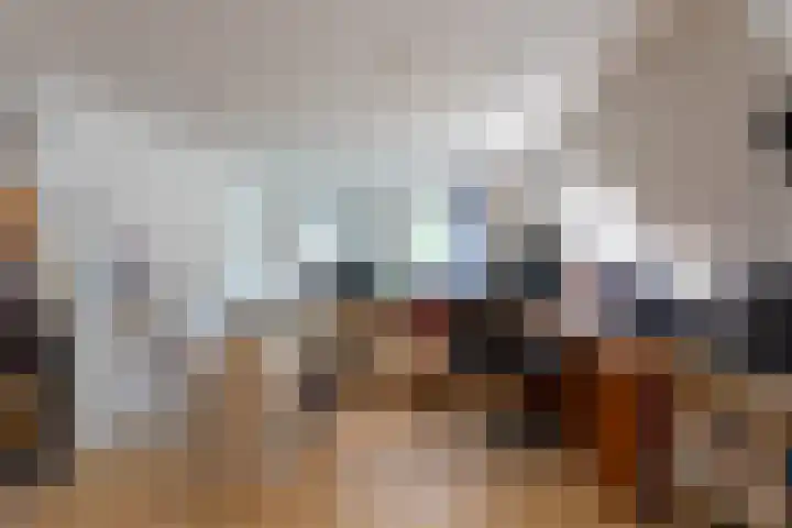 Willem de Zwijgerlaan 46 Castricum thumbnail 49