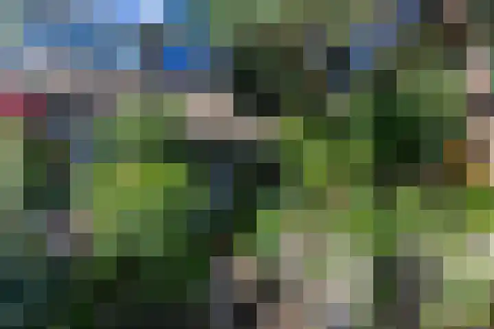 Willem de Zwijgerlaan 46 Castricum thumbnail 51