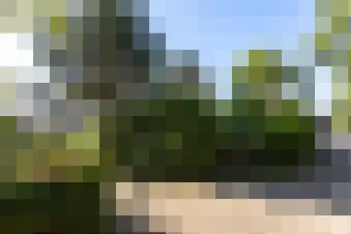 Willem de Zwijgerlaan 46 Castricum thumbnail 52