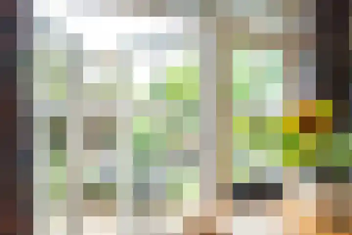 Willem de Zwijgerlaan 46 Castricum thumbnail 8
