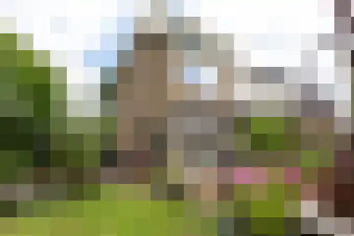 Willem de Zwijgerlaan 46 Castricum thumbnail 82