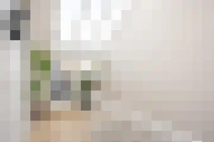 Willem de Zwijgerlaan 47 1 Amsterdam thumbnail 18