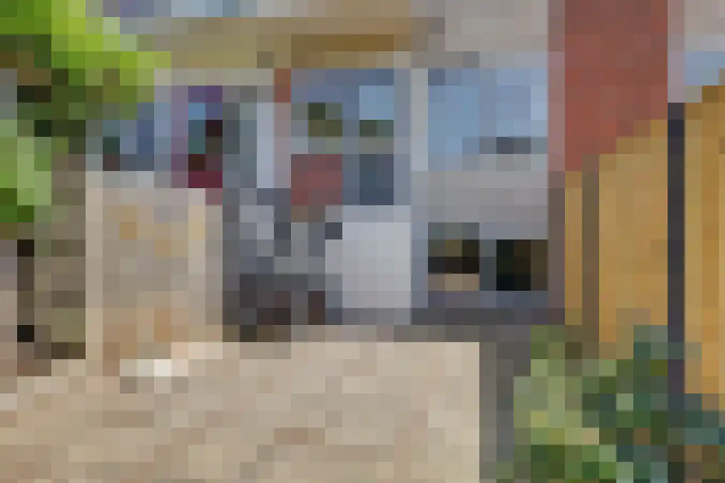 Willem de Zwijgerlaan 47 Katwijk thumbnail 41