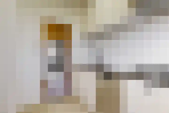 Willem de Zwijgerlaan 48 Alkmaar thumbnail 16