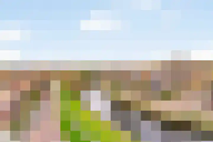 Willem de Zwijgerlaan 48 Alkmaar thumbnail 27