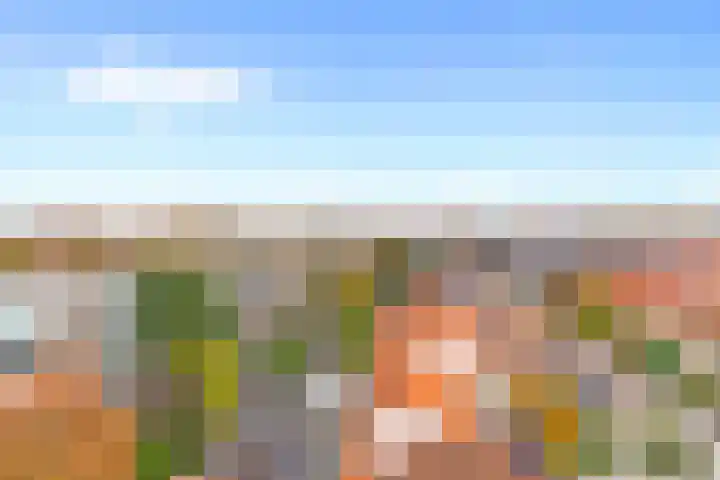 Willem de Zwijgerlaan 48 Alkmaar thumbnail 29