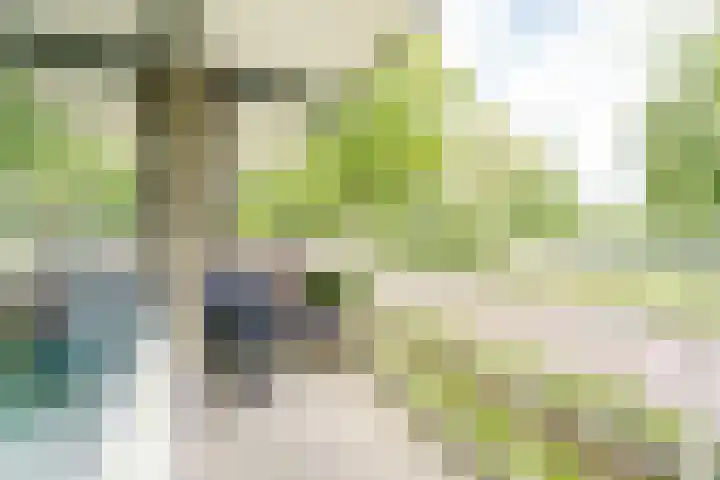 Willem de Zwijgerlaan 48 Overveen thumbnail 19