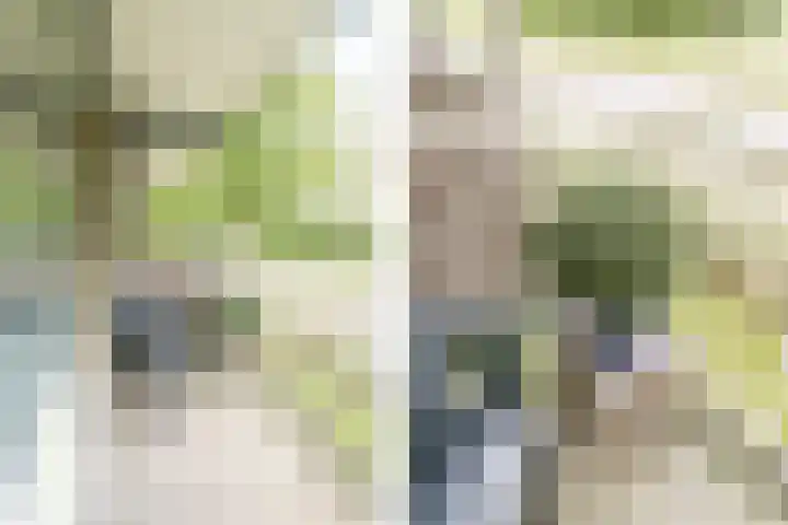 Willem de Zwijgerlaan 48 Overveen thumbnail 20