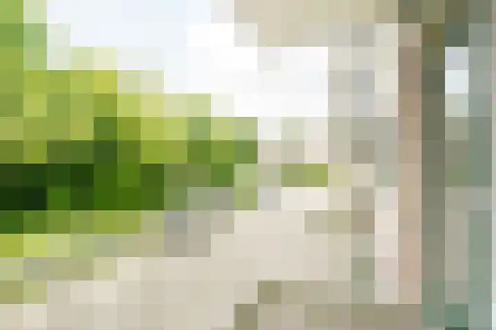 Willem de Zwijgerlaan 48 Overveen thumbnail 23