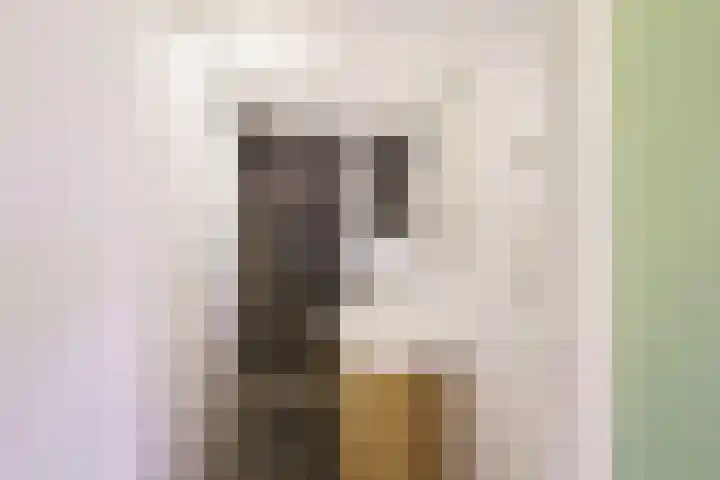 Willem de Zwijgerlaan 48 Overveen thumbnail 27