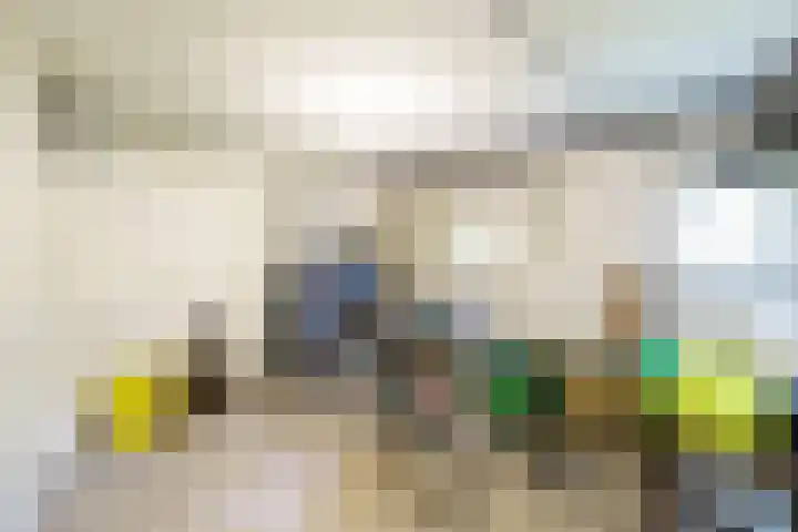 Willem de Zwijgerlaan 48 Overveen thumbnail 30