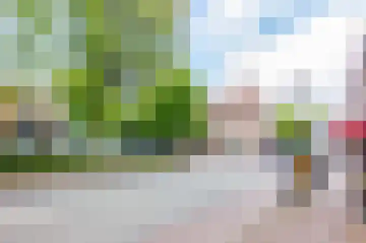 Willem de Zwijgerlaan 48 Overveen thumbnail 31