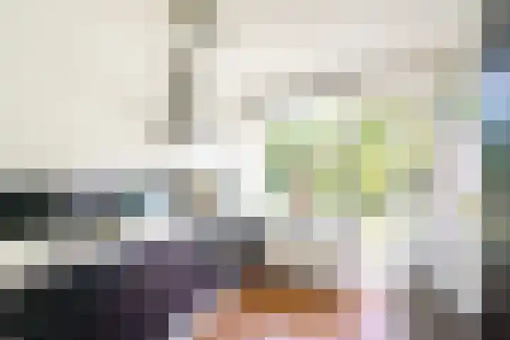 Willem de Zwijgerlaan 48 Overveen thumbnail 4