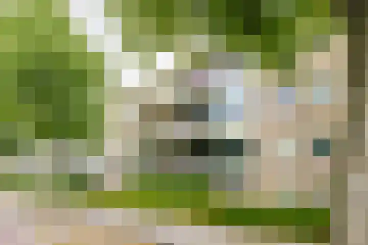 Willem de Zwijgerlaan 48 Overveen thumbnail 6