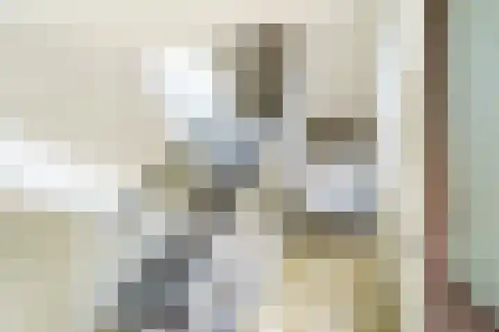 Willem de Zwijgerlaan 48 Overveen thumbnail 9