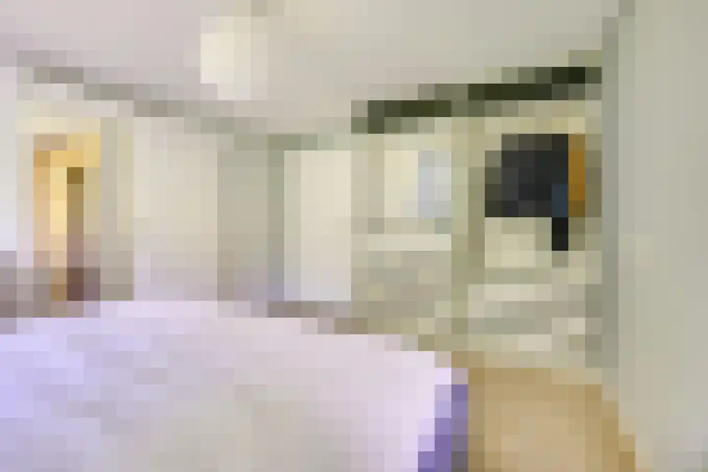 Willem de Zwijgerlaan 5 a Doorn thumbnail 23